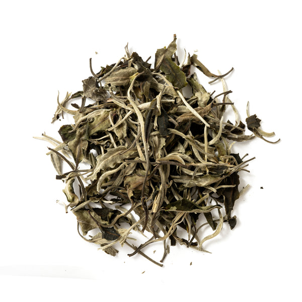 Moonlight White - EisaiTea